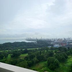 Skyline Residences (D4), Condominium #623107081
